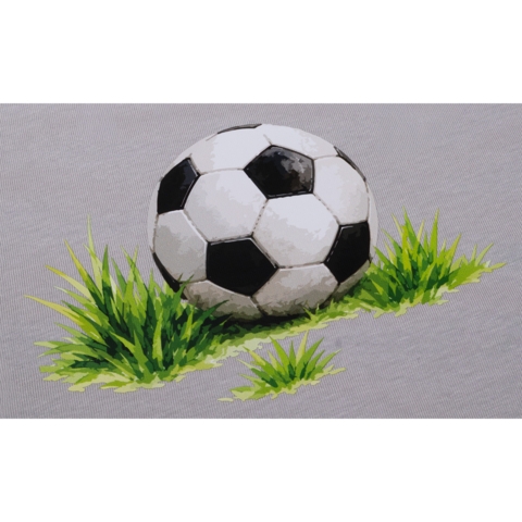 DTF / Textildruck / Bügelbild, Fußball mit Gras, 180x113 mm, für Baumwolle - Bild 2