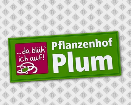 Aufnäher Patch Rubber PVC Firma Pflanzenhof Plum in grün