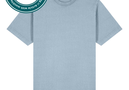 Stanley/Stella T-Shirt Freestyler Vintage - Bild 1