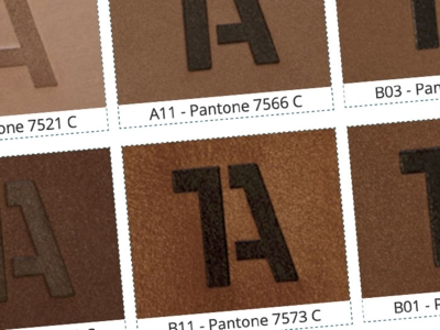 Farbmuster einiger Lederstücke mit 1A-Prägung die als Palette dargestellt sind