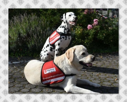 Gestickter Patch Aufnäher rechteckig Kettelrand Hundesport Malteser