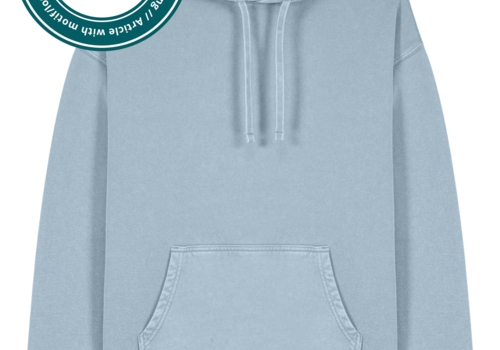 Stanley/Stella Hoodie Slammer 2.0 vintage - Bild 1