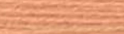 Farbmuster - Chenille - 338