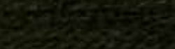 Farbmuster - Chenille - 387