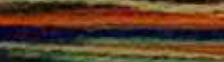 Farbmuster - Chenille - 2056